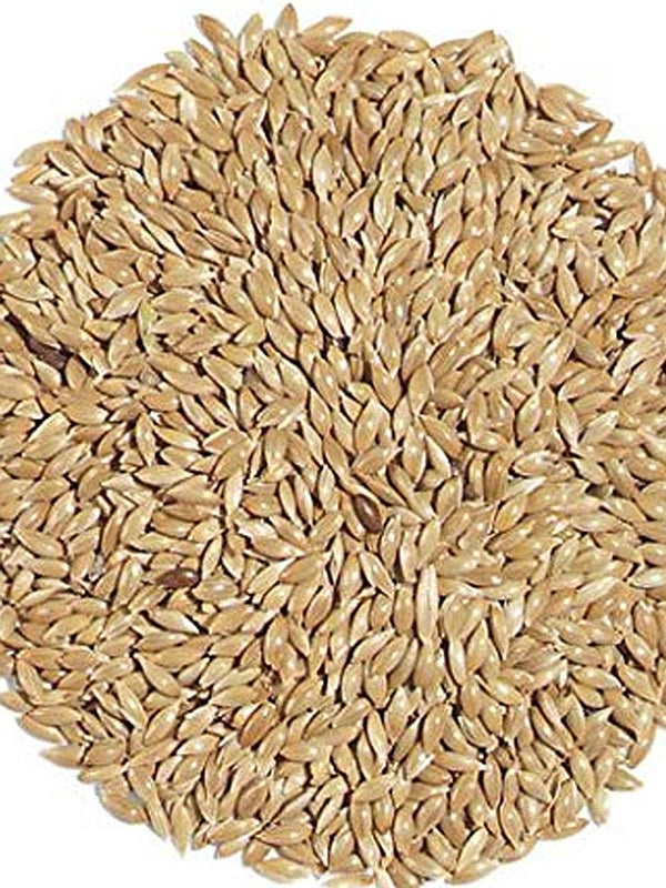 Vadi Canary Seed 20KG