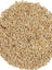 Vadi Canary Seed 20KG