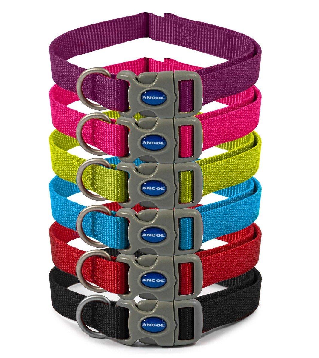 Viva Collar Purple S1