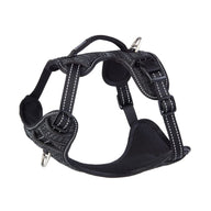 Viva Harness 2 Point Black L