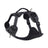 Viva Harness 2 Point Black L