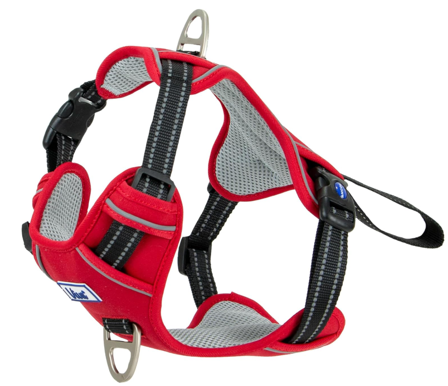 Viva Harness 2 Point Red M