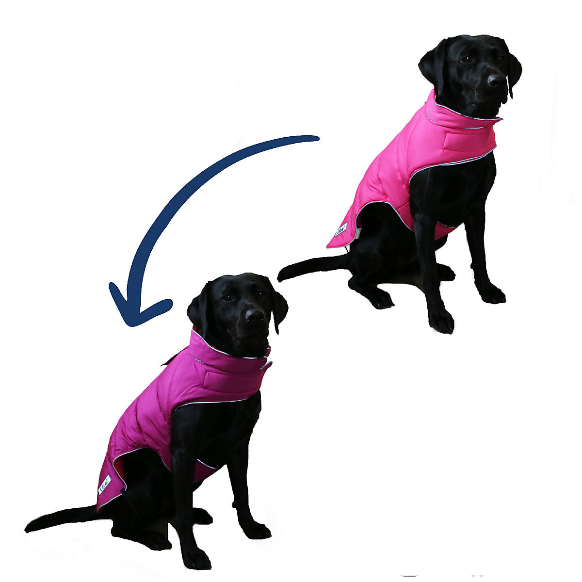 Ancol Viva Reversible Dog Coat Pink XL 60cm
