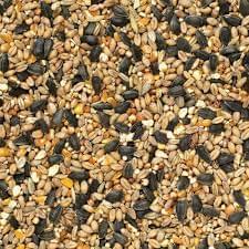 Wild Bird Seed