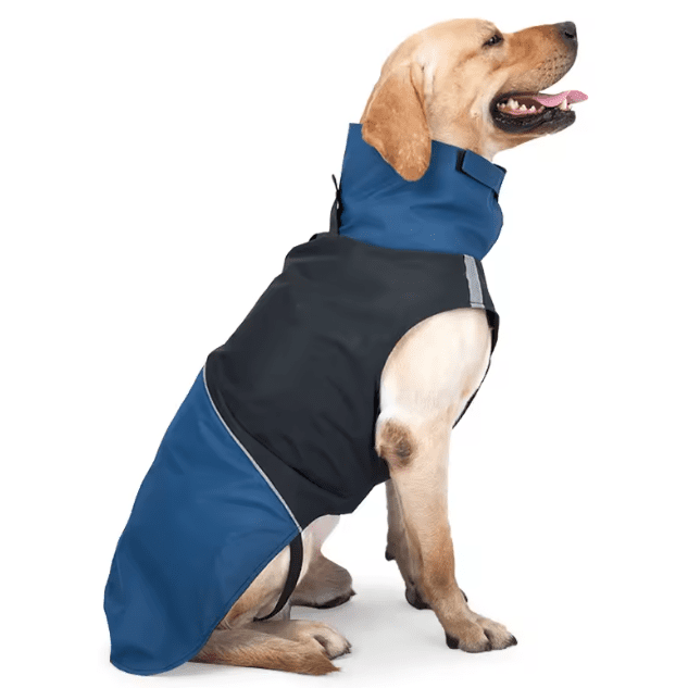 Weatherproof Dog Jacket Blue & Black