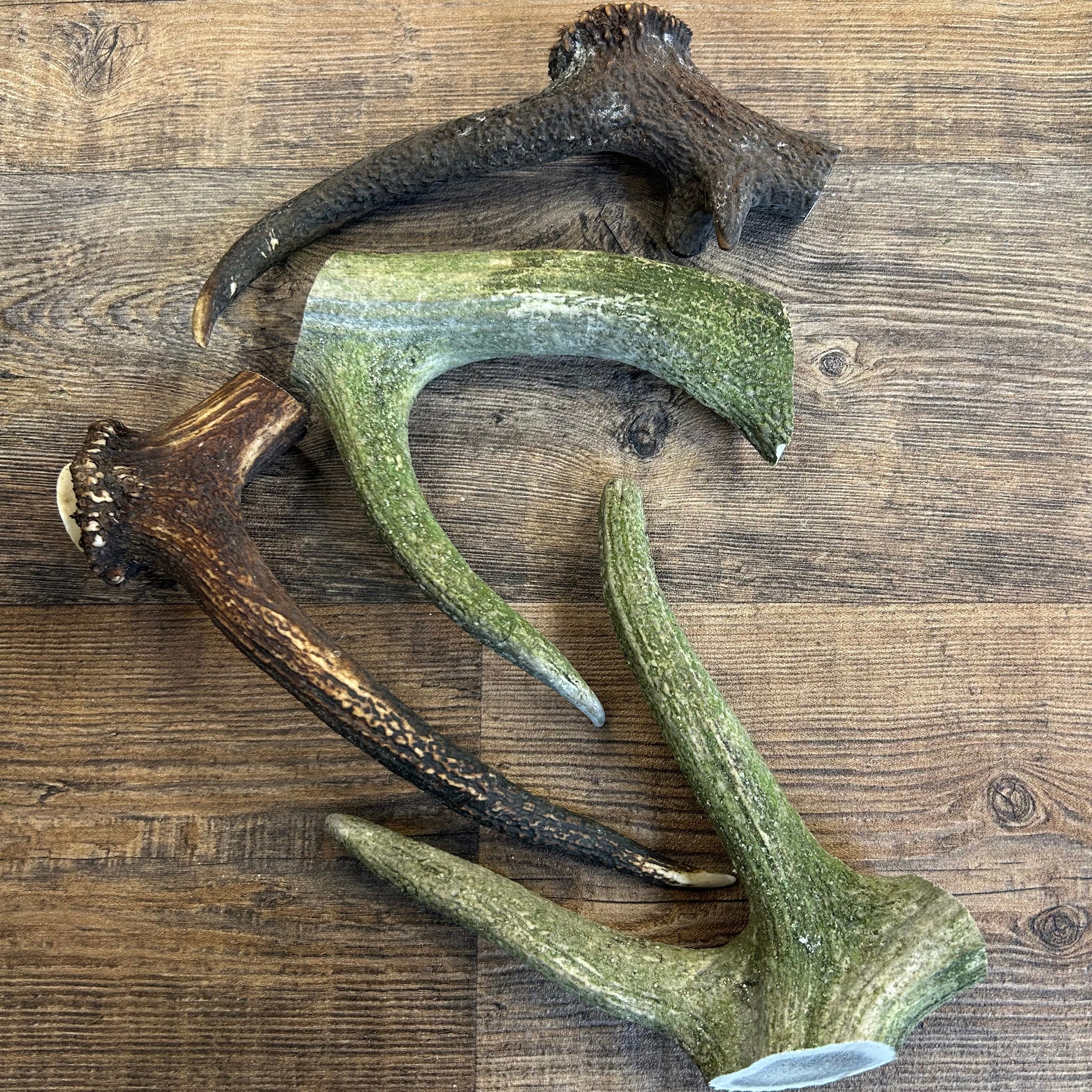 Deer Antlers - Natural Tough Dog Treat