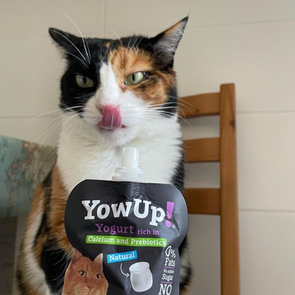 YowUp! Cat Prebiotics 85g