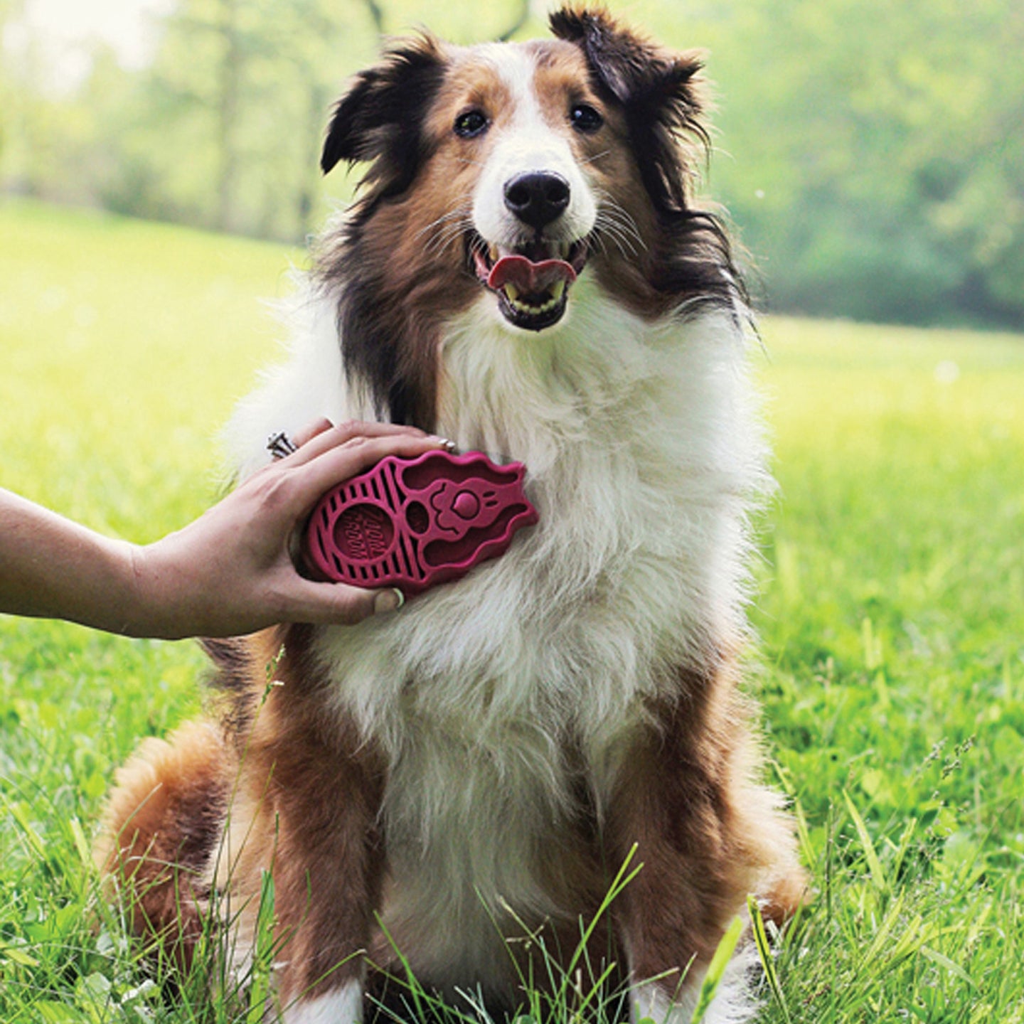 Kong ZoomGroom Rubber Brush Large