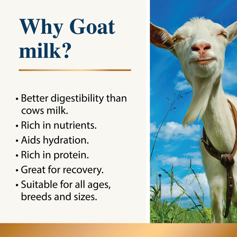 Karnlea Whole Goat Milk Powder 200g - Image 2