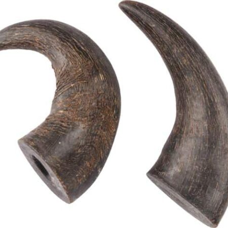 Buffalo Horn x2