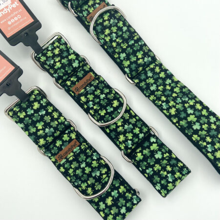 CandyPet Shamrock Martingale Collar & Lead