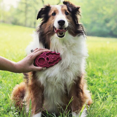 Kong ZoomGroom Rubber Brush Large